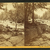 Jackson Falls, Upper, N.H.