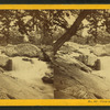 View on Jackson Fall, N.H.