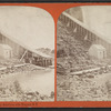 Foot of the Ferry, American side, Niagara, N.Y.