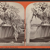 Luna Island, Winter, Niagara, N.Y.