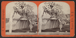 Luna Island, Winter, Niagara, N.Y.