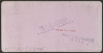 Interior. Suspension Bridge, Niagara, N.Y.