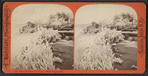 American Falls from Luna Island, Winter, Niagara, N.Y.