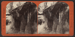 Hermit's Cascade, Winter, Niagara N.Y.
