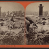 Tower from Goat Island, Niagara, N.Y.