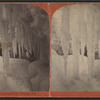 Ice Cave, front American Falls, Niagara, N.Y.