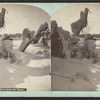 Ice Grove, Canada side, Niagara, N.Y.