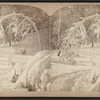 Ice Grove, Canada side, Niagara, N.Y.