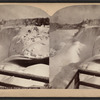 American Falls from Goat Island.