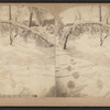 Ice Grove, Niagara.