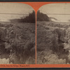 New Susp. Bridge and Falls, Ice Bridge, Niagara, N.Y.