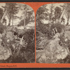 View on 3rd, Sister Island, Niagara, N.Y.