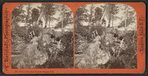 View on 3rd, Sister Island, Niagara, N.Y.