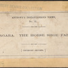 Niagara. The Horse Shoe Fall.