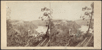 On the bank of the Niagara. View above the Clifton House.