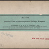 General view of the Suspension Bridge, Niagara.
