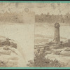 Terrapin Tower and Horse Shoe Fall, Niagara.
