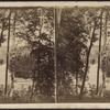 View from Goat Island.