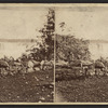 Terrapin Tower and Horse Shoe Fall from Canada side.