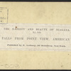 The Falls, from Point View, American side.