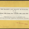 The American Fall, from the Canada side, near the Museum.