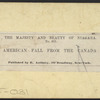 The American Fall, from the Canadian side.