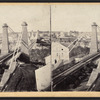 The Suspension Bridge. General view.