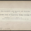 Perspective view of Suspension Bridge Carriage Way.