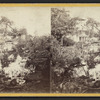 Curiosity Shop at Horse Shoe Fall.