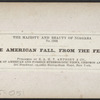 The American Fall from the Ferry.