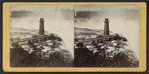 Terrapin Tower and Horse Shoe Fall from Goat Island.