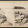 The Falls, from Point View, American side.