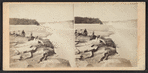 The Falls, from Point View, American side.