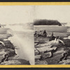 The Falls, from Point View, American side.