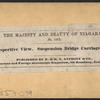 Perspective view. Suspension Bridge Carriage Way.