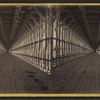 Suspension Bridge Carriage Way. Perspective view.