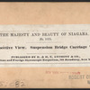 Perspective view. Suspension Bridge Carriage Way.