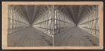 Perspective view. Suspension Bridge Carriage Way.