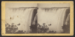 The Horse Shoe Fall.