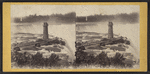 Terrapin Tower and Horse Shoe Fall, from Goat Island.