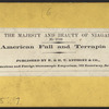 The American Fall and Terrapin Tower.