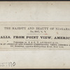The Falls, from Point View, American side.