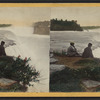 The Falls, from Point View, American side.
