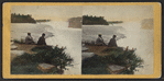 The Falls, from Point View, American side.