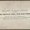 The American Falls, from Goat Island.