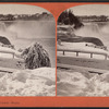 Prospect Point, winter.