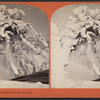 Goat Island scenery, winter.