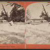 Rapids and head of First Sister Island, winter.