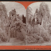 Stereoscopic views of Niagara Falls.