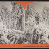 Congealed spray (Luna Island), Niagara Falls, N.Y., U.S.A. [Tree limbs covered in ice.]